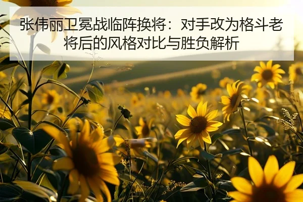 张伟丽卫冕战临阵换将：对手改为格斗老将后的风格对比与胜负解析